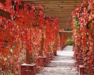 Beijing Jinyu Badaling Hot Spring Resort Xiaohetun Екстериор снимка